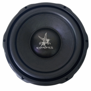 Alto Falante 12" Polegadas